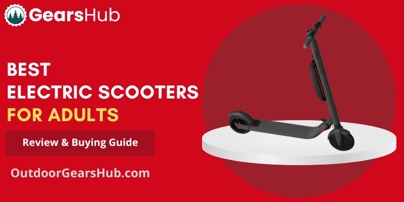 Best Electric Scooters For Adults