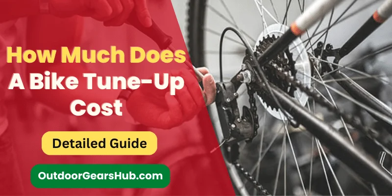 How Much Does A Bike Tune Up Cost