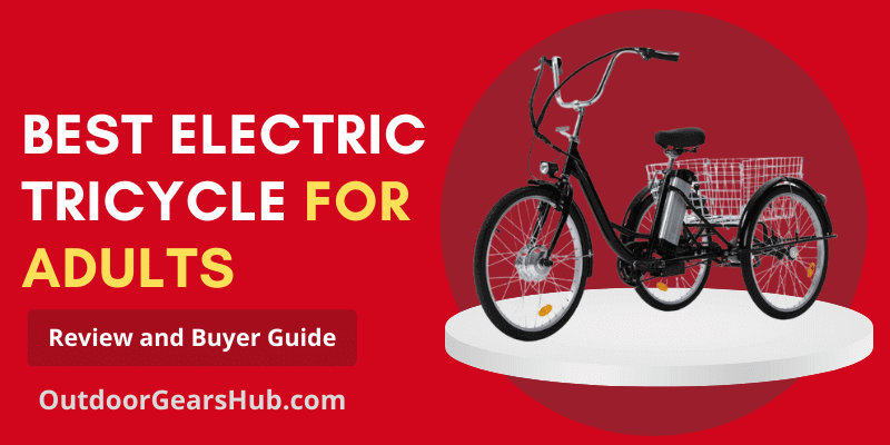 Best Electric Tricycle For Adults - Featured Image